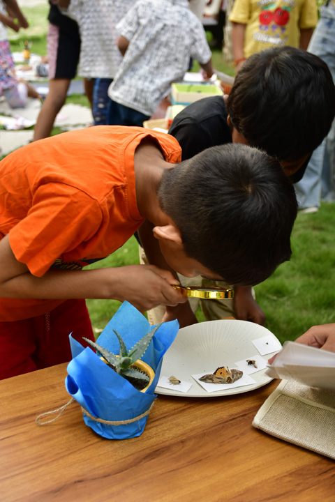Montessori Awareness Program