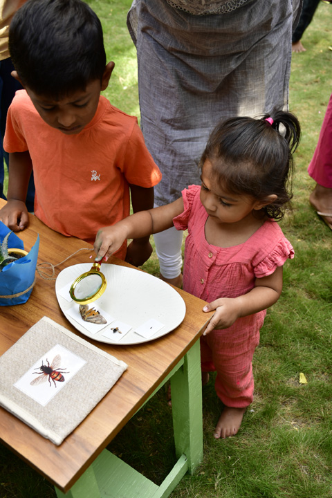 Montessori Awareness Program