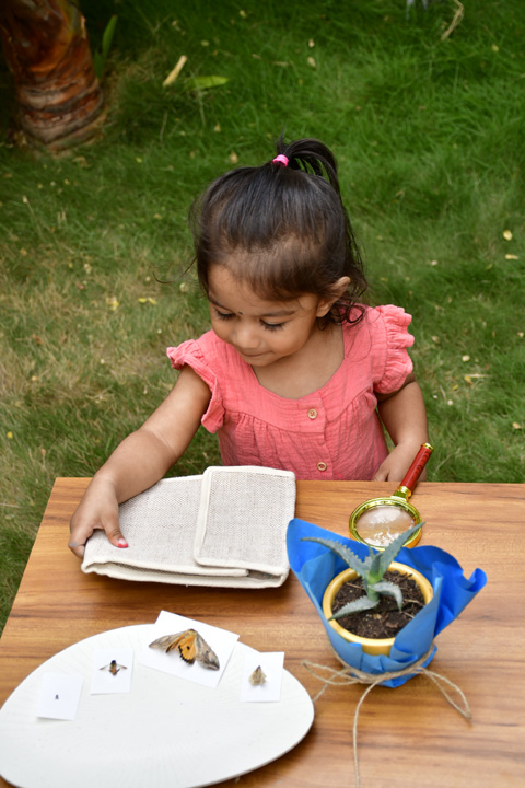 Montessori Awareness Program